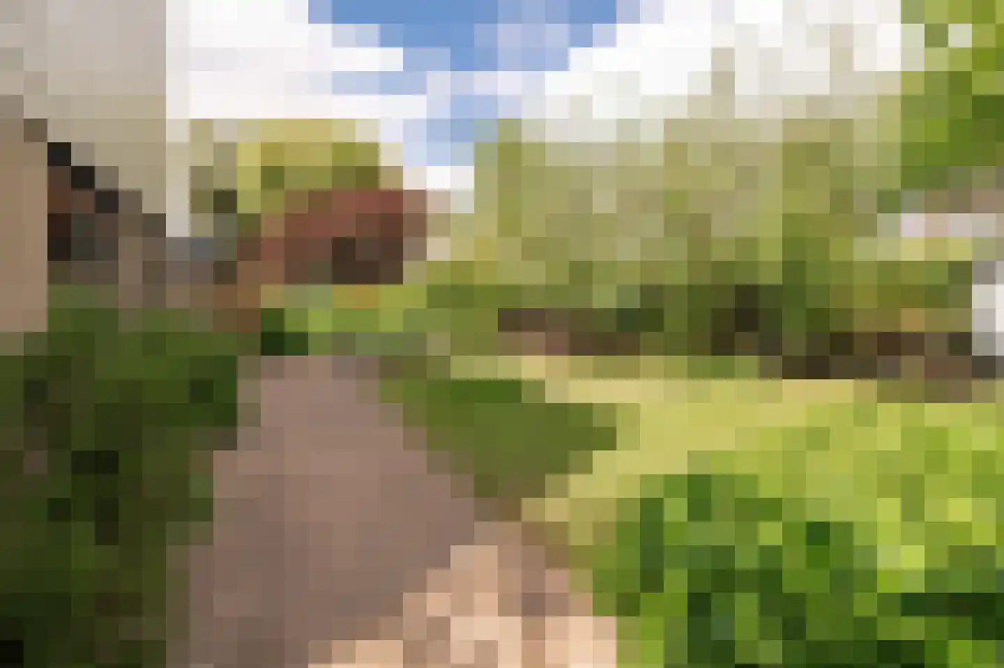 Kerseboom 38 Culemborg thumbnail 4