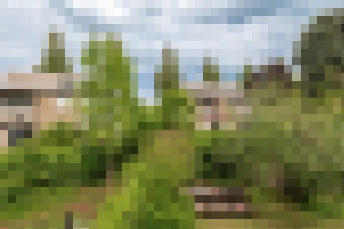 Kerseboom 38 Culemborg thumbnail 40