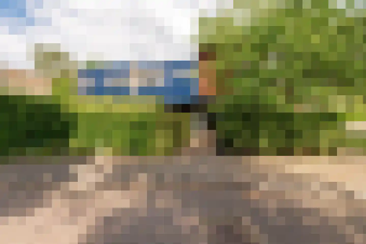 Kerseboom 38 Culemborg thumbnail 5