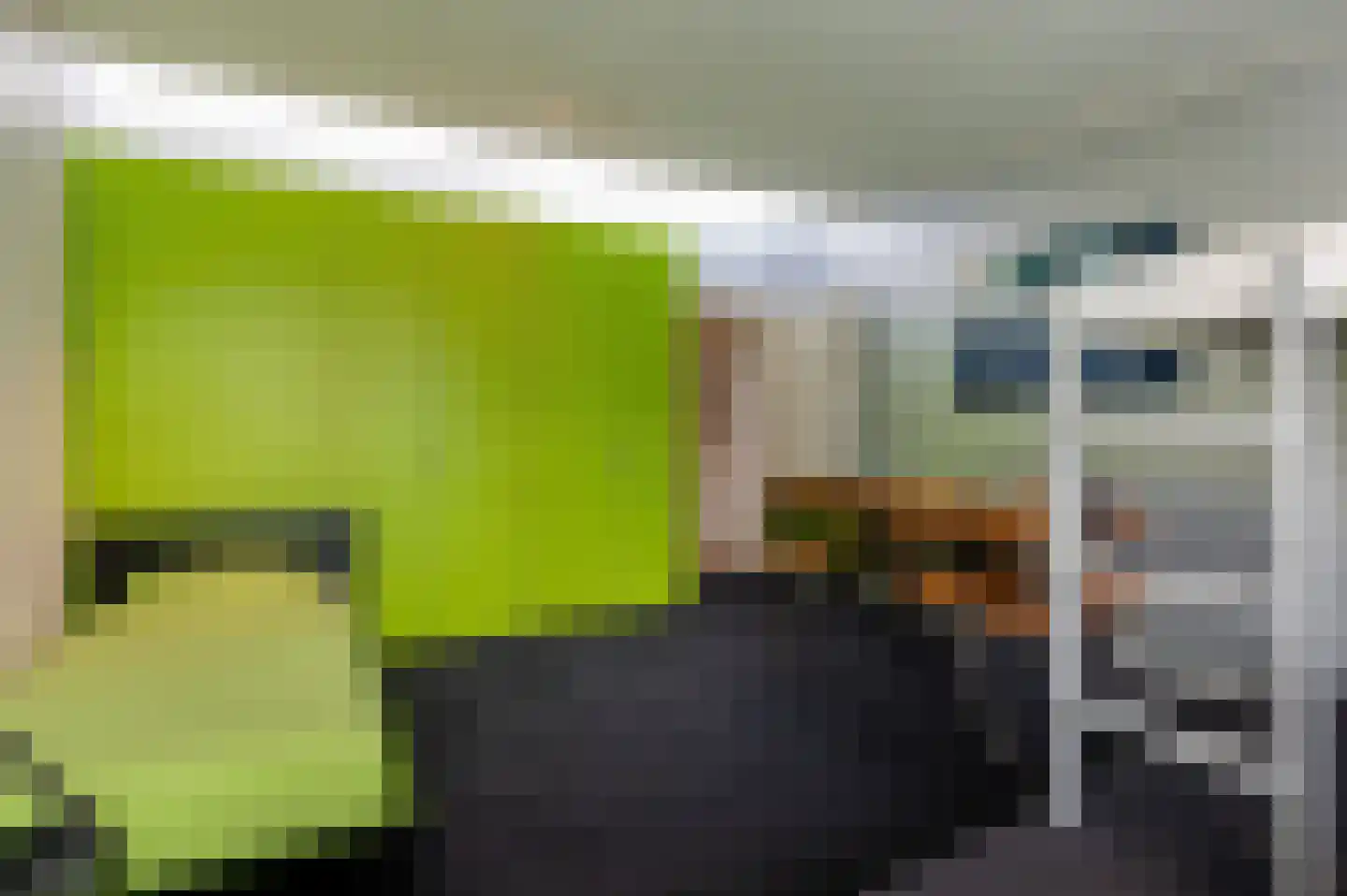 Kerseboom 38 Culemborg thumbnail 53