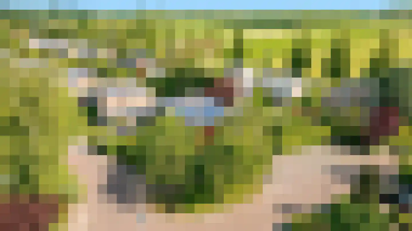 Kerseboom 38 Culemborg thumbnail 6