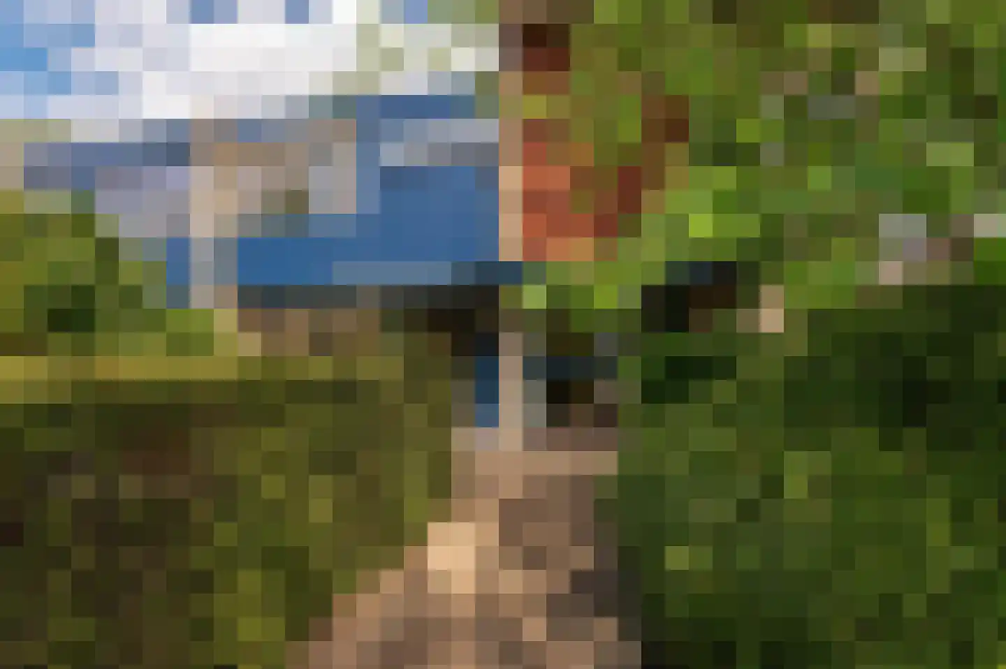 Kerseboom 38 Culemborg thumbnail 65