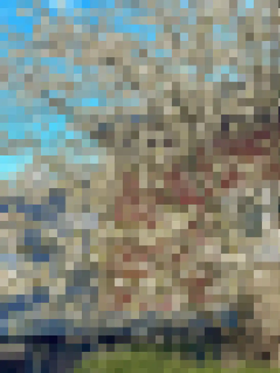 Kerseboom 38 Culemborg thumbnail 67