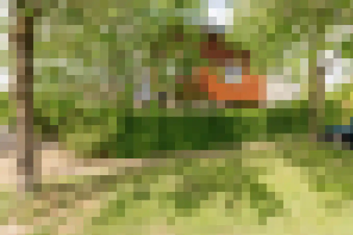 Kerseboom 38 Culemborg thumbnail 69