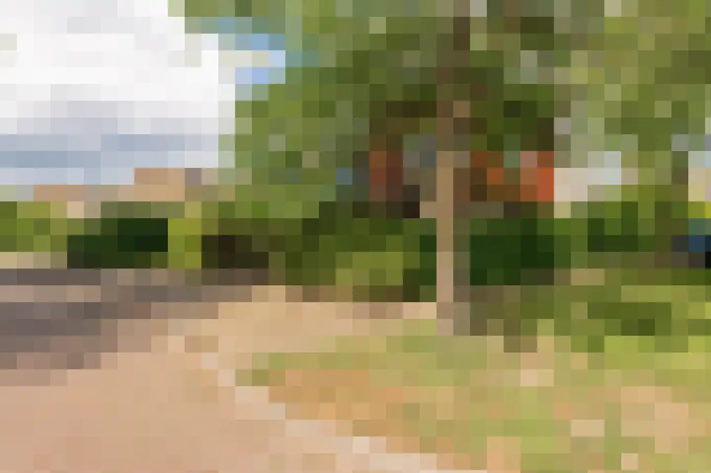 Kerseboom 38 Culemborg thumbnail 70