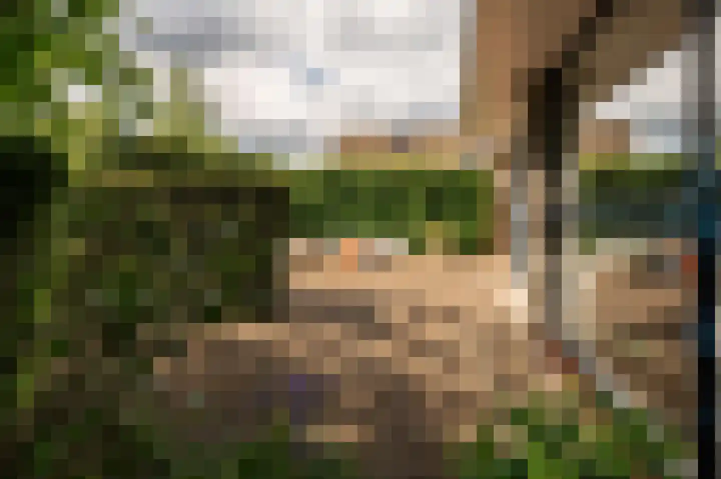 Kerseboom 38 Culemborg thumbnail 71