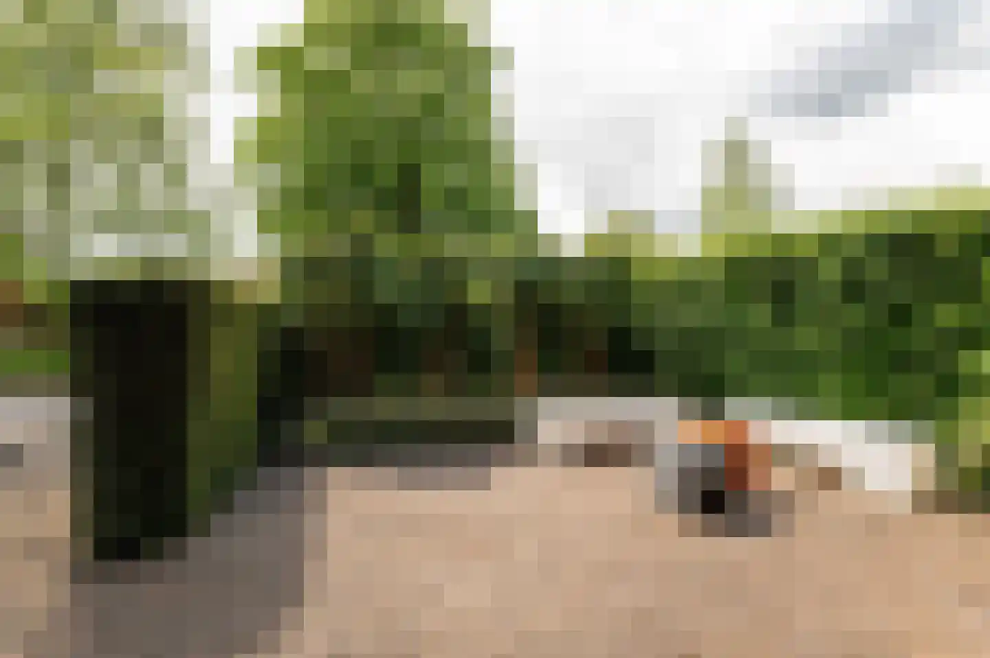 Kerseboom 38 Culemborg thumbnail 72