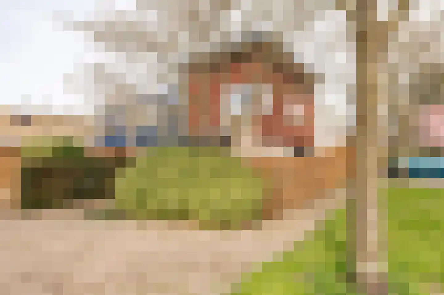 Kerseboom 38 Culemborg thumbnail 74