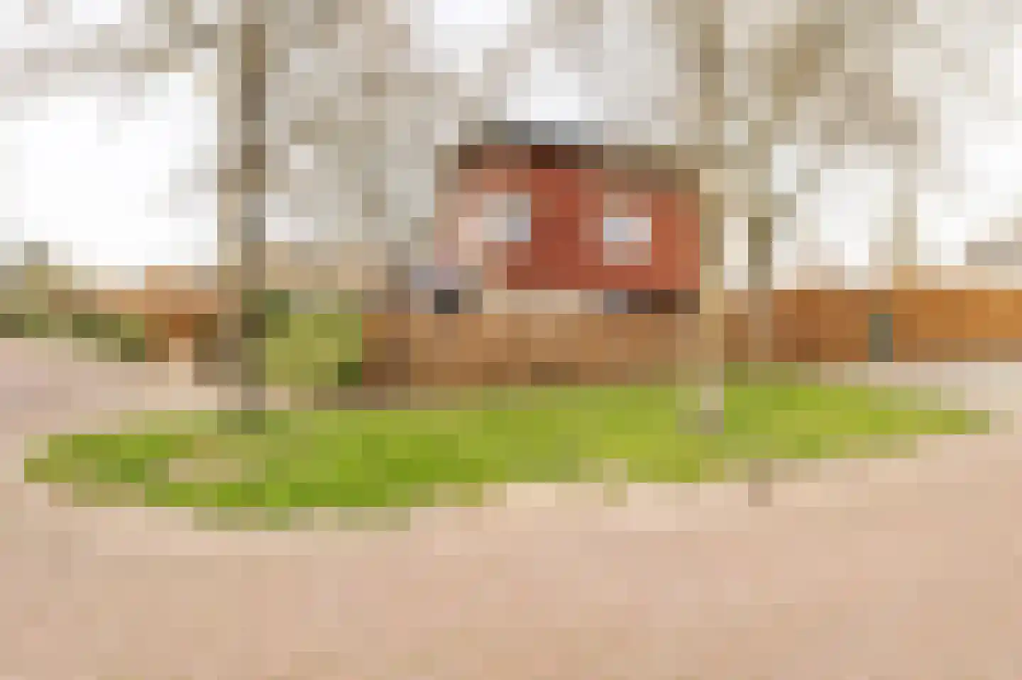Kerseboom 38 Culemborg thumbnail 75