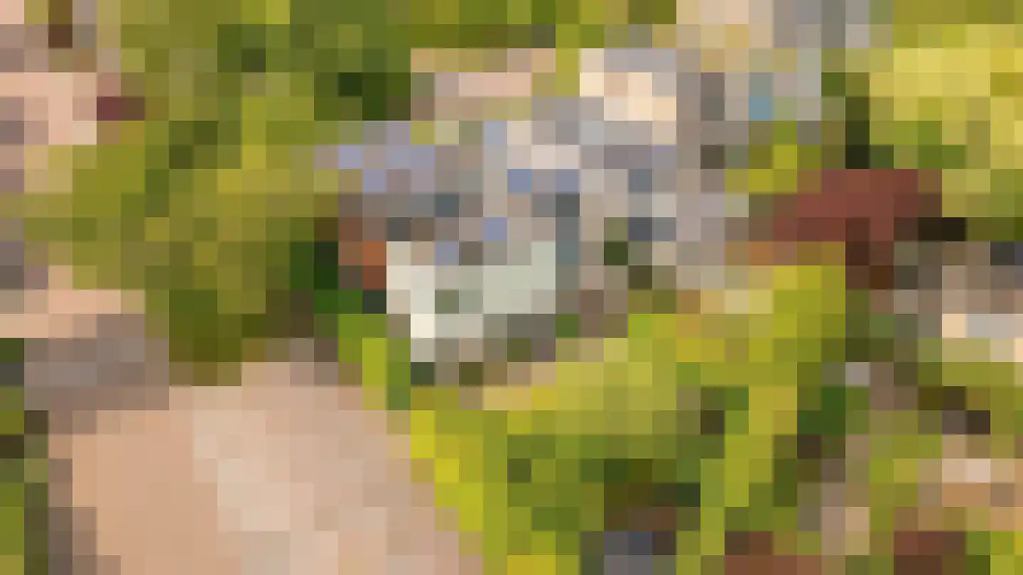 Kerseboom 38 Culemborg thumbnail 79