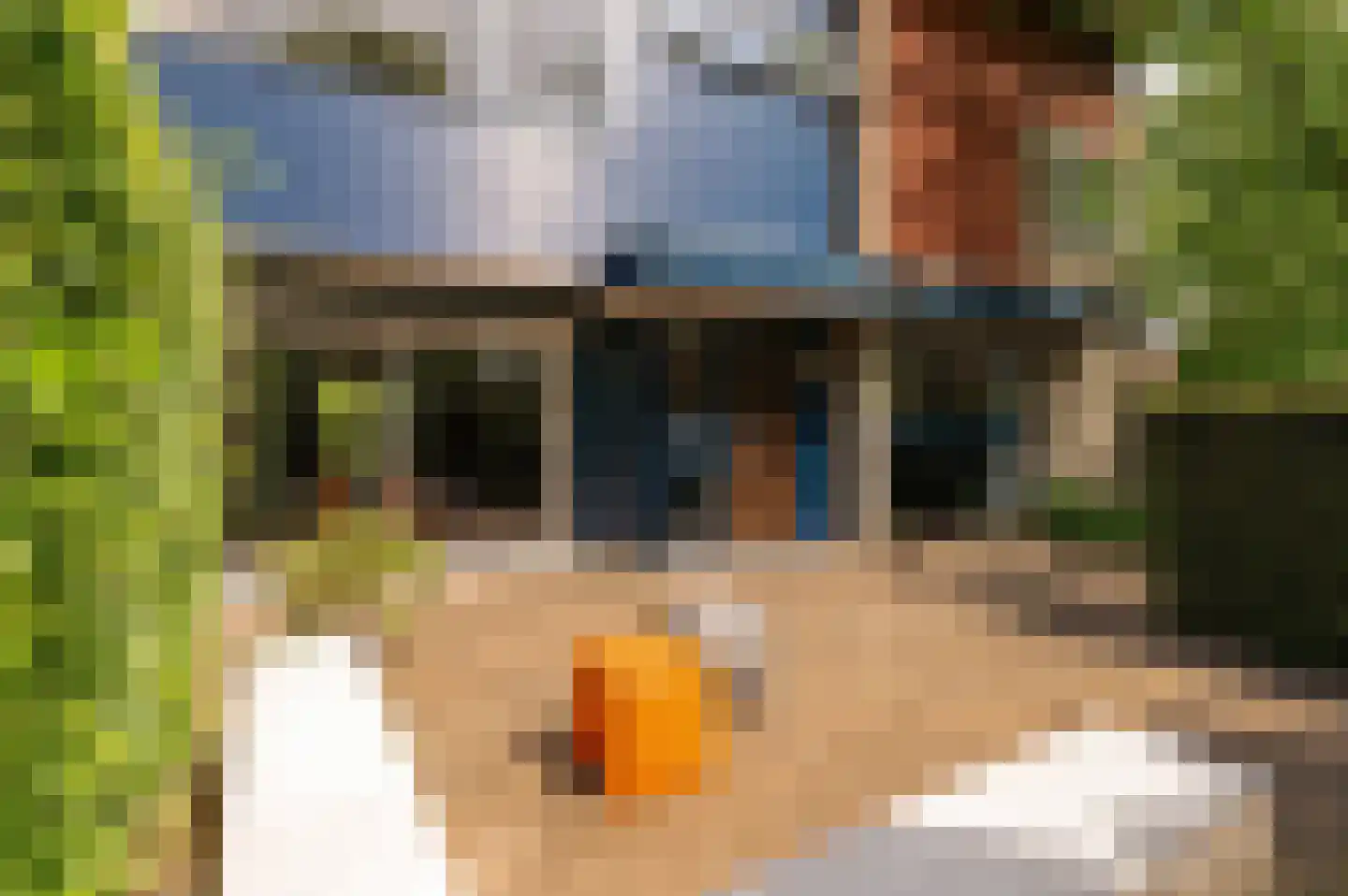 Kerseboom 38 Culemborg thumbnail 8