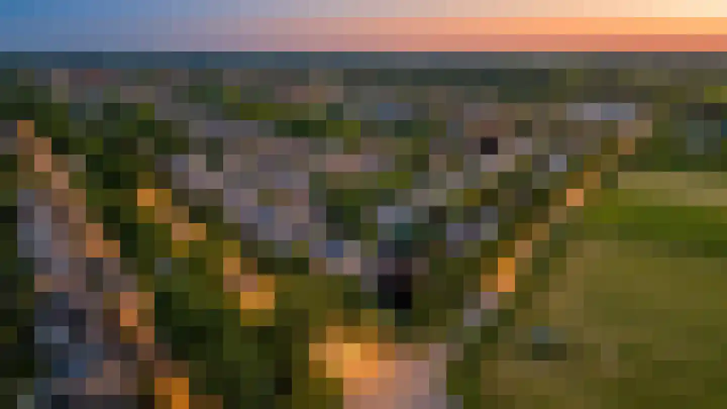Kerseboom 38 Culemborg thumbnail 83