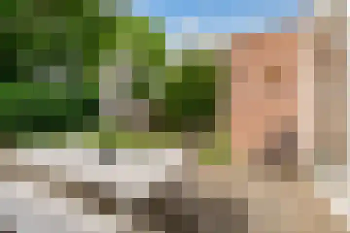 Kerseboomgaard 15 Bunnik thumbnail 34