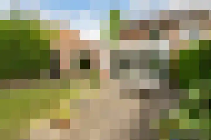 Kerseboomgaard 15 Bunnik thumbnail 35