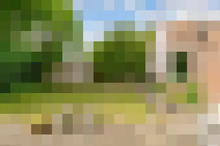 Kerseboomgaard 15 Bunnik thumbnail 36