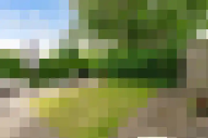Kerseboomgaard 15 Bunnik thumbnail 37