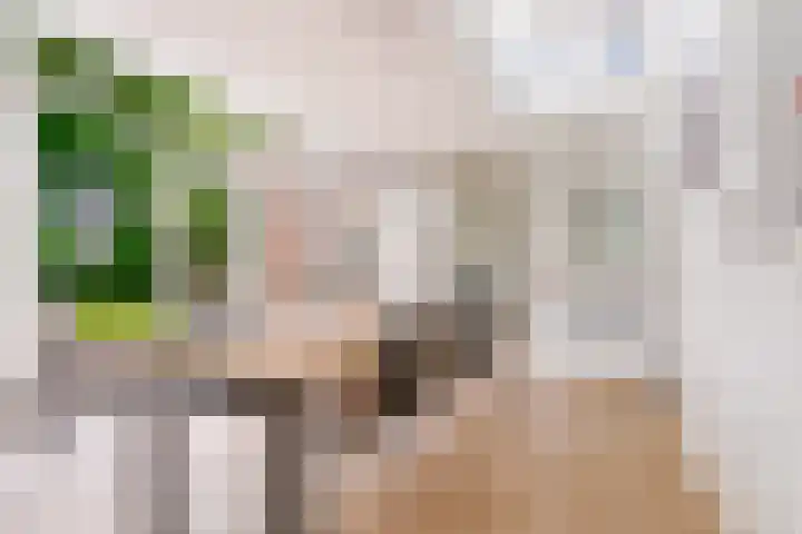 Kerseboomgaard 15 Bunnik thumbnail 4