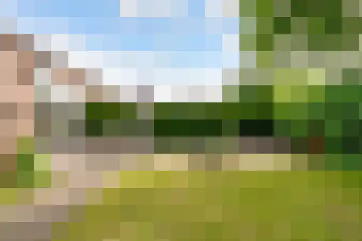 Kerseboomgaard 15 Bunnik thumbnail 40