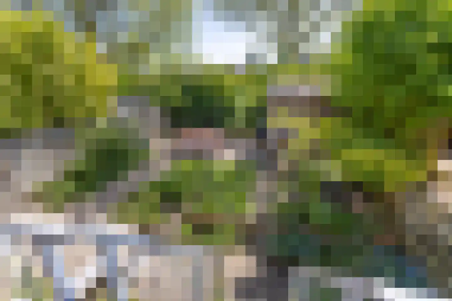 Kerseboomgaard 17 Bunnik thumbnail 37