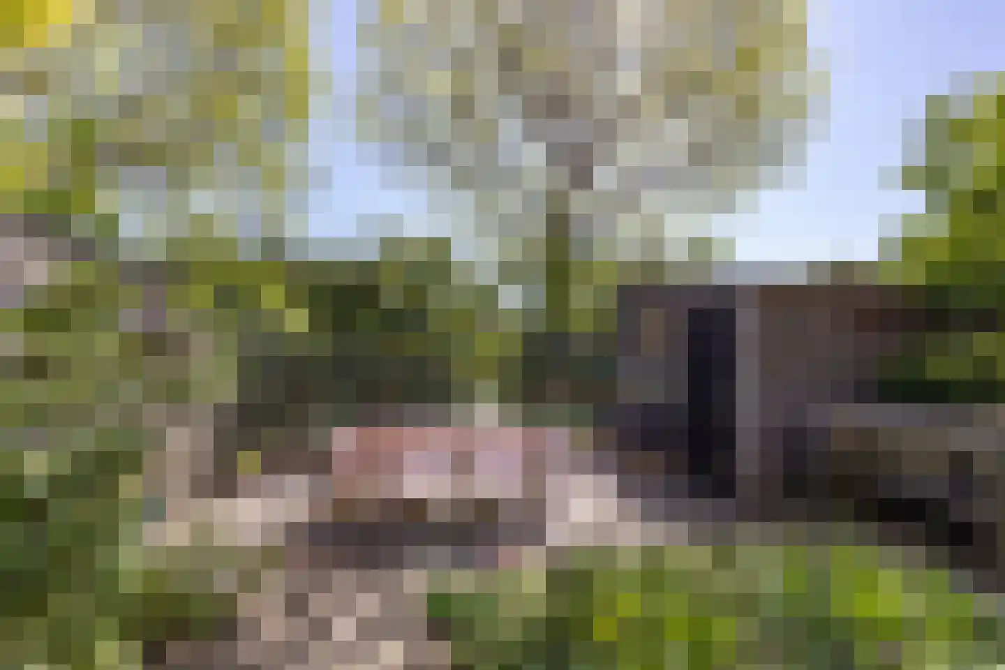Kerseboomgaard 17 Bunnik thumbnail 39