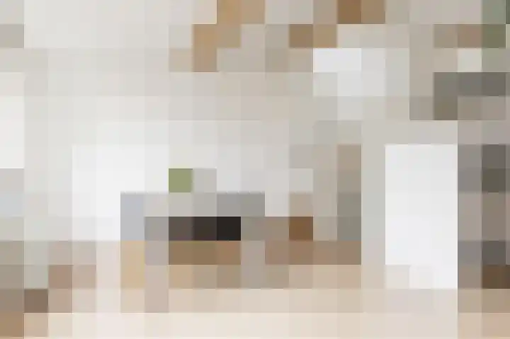 Kerseboomgaard 24 Bunnik thumbnail 18