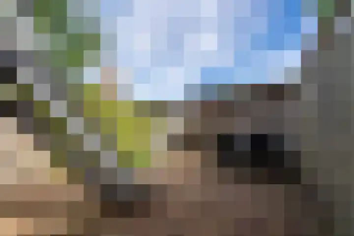 Kerseboomgaard 24 Bunnik thumbnail 35