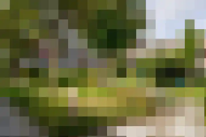 Kerseboomgaard 24 Bunnik thumbnail 41