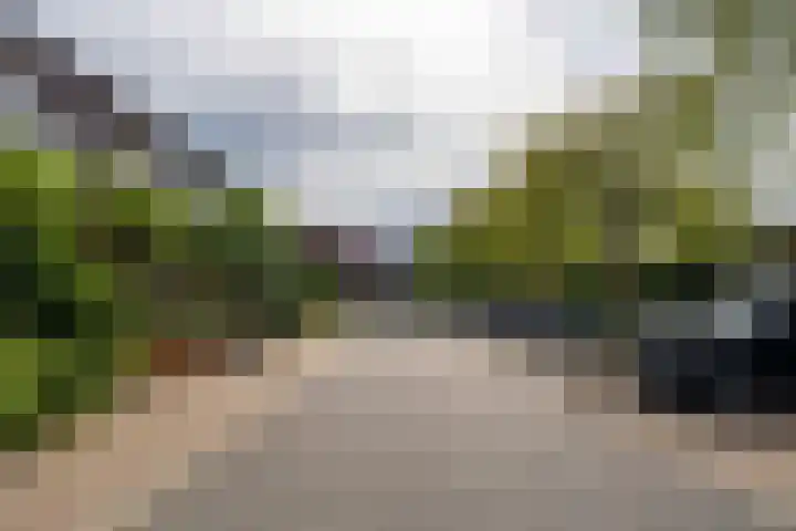 Kerseboomgaard 24 Bunnik thumbnail 42