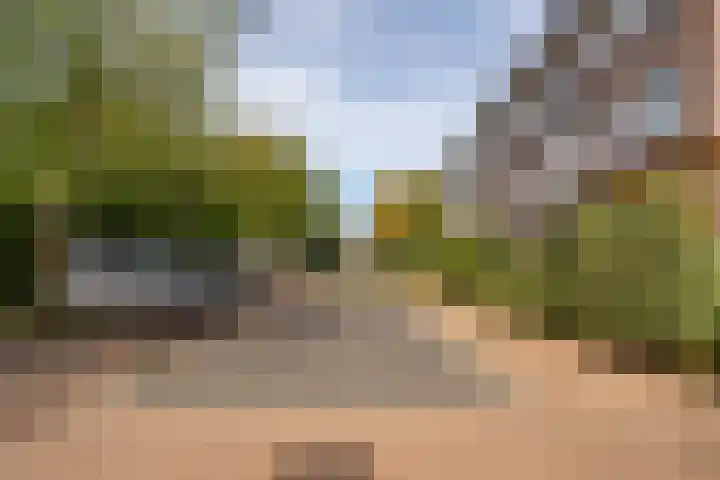 Kerseboomgaard 24 Bunnik thumbnail 43