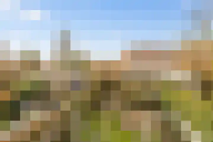 Kerseboomgaard 29 Bunnik thumbnail 27