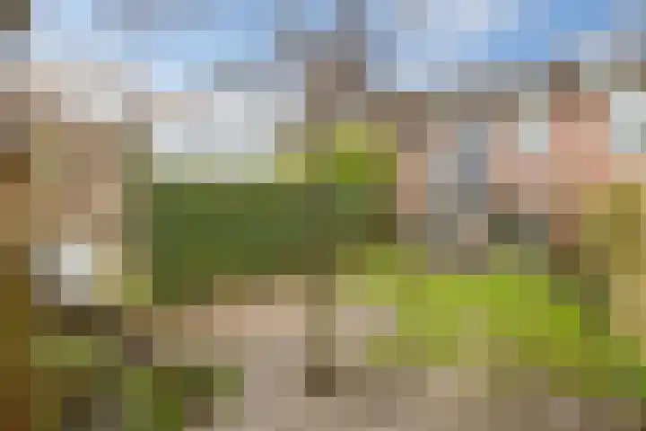 Kerseboomgaard 29 Bunnik thumbnail 32
