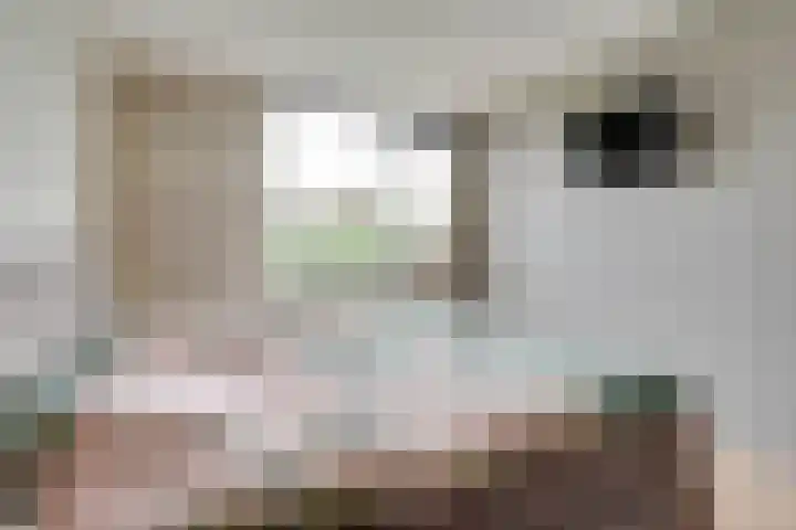 Kersegaarde 12 Nieuwegein thumbnail 15