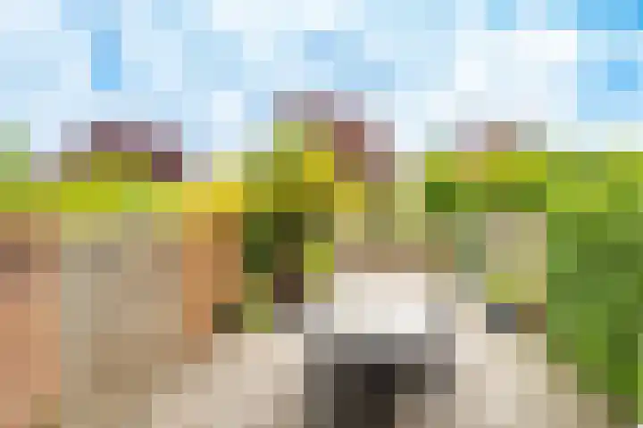 Kersegaarde 12 Nieuwegein thumbnail 33