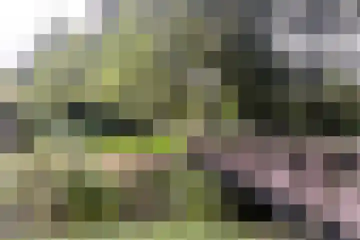 Kersegaarde 16 Nieuwegein thumbnail 57