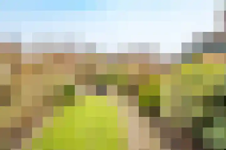 Kersegaarde 2 Nieuwegein thumbnail 35