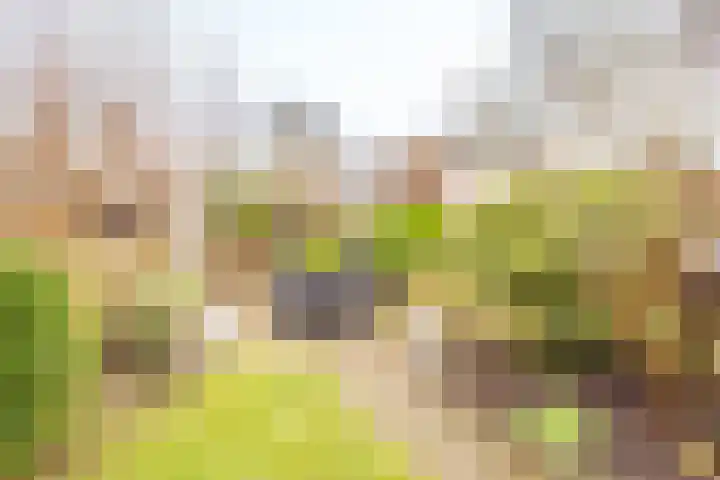 Kersegaarde 2 Nieuwegein thumbnail 36