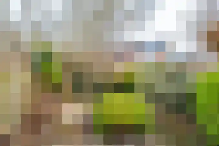 Kersegaarde 2 Nieuwegein thumbnail 37