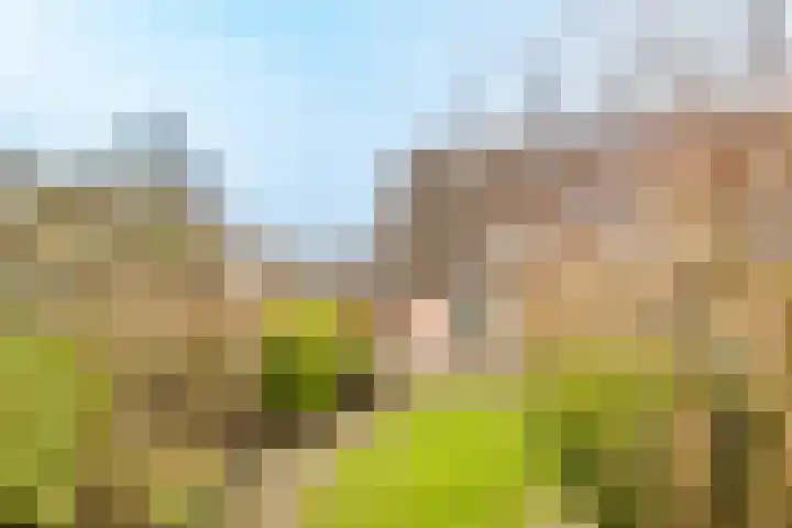 Kersegaarde 2 Nieuwegein thumbnail 43