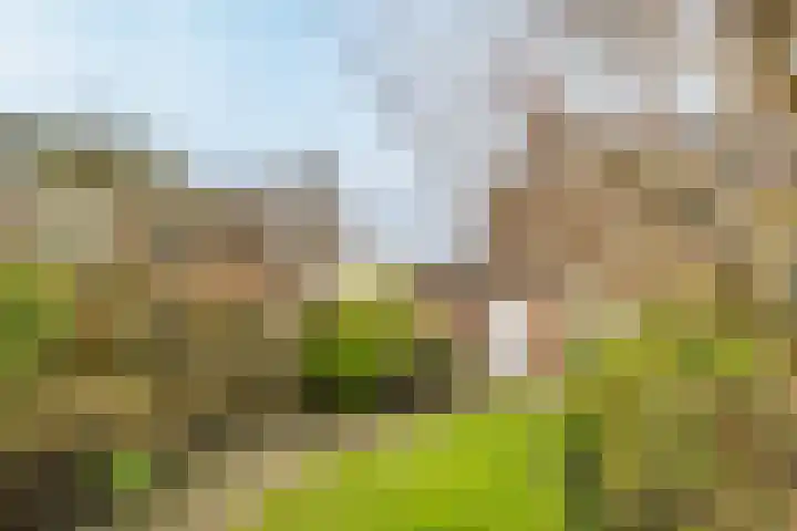 Kersegaarde 2 Nieuwegein thumbnail 44