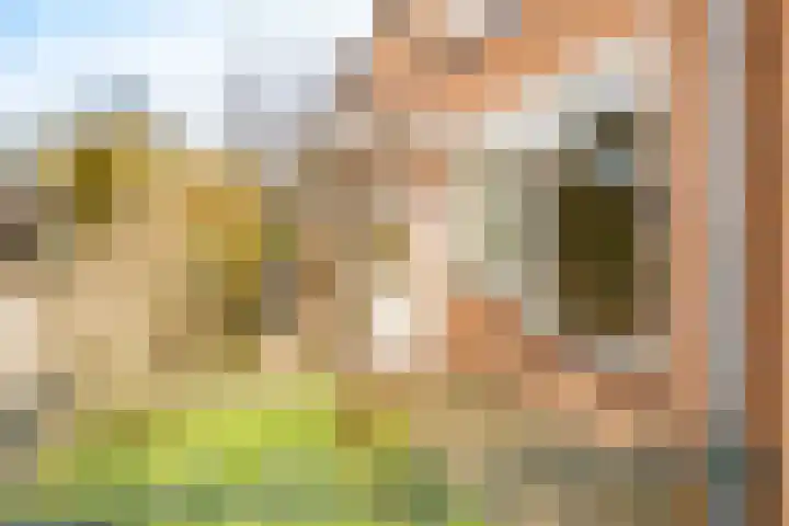 Kersegaarde 2 Nieuwegein thumbnail 50