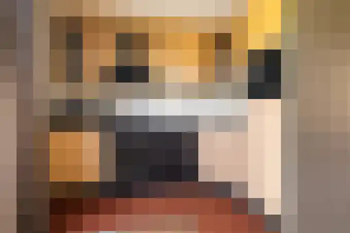 Kersehôf 15 Berltsum thumbnail 17