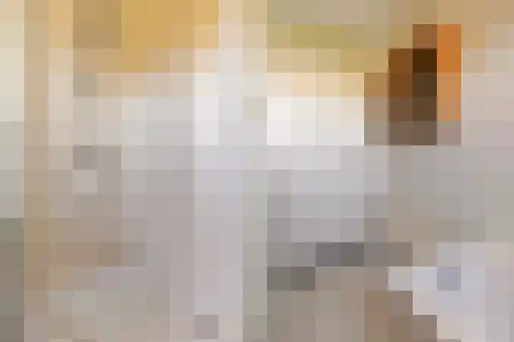 Kersehôf 15 Berltsum thumbnail 30
