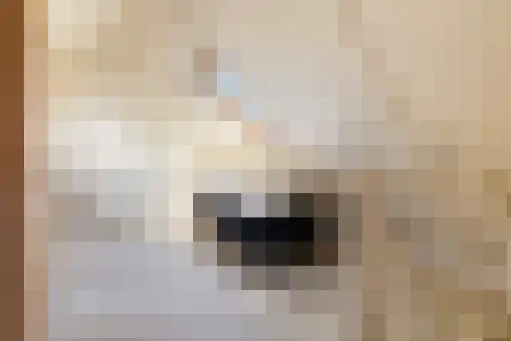 Kersehôf 15 Berltsum thumbnail 34