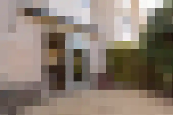 Kersehôf 15 Berltsum thumbnail 38
