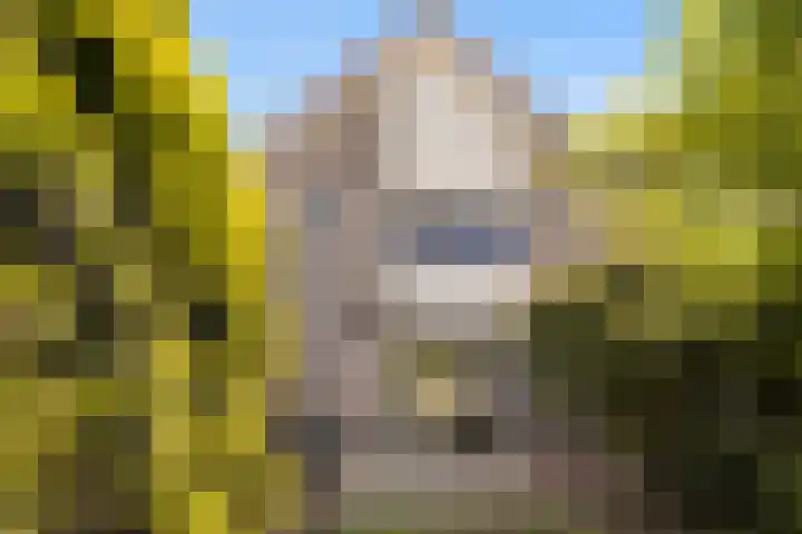Kersehôf 15 Berltsum thumbnail 39