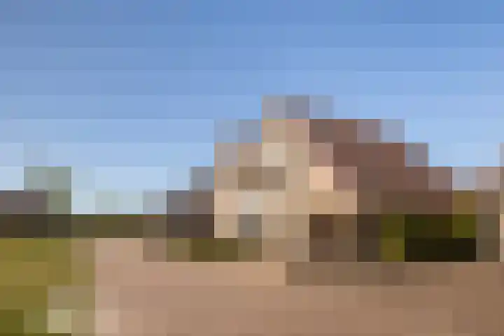 Kersehôf 15 Berltsum thumbnail 4