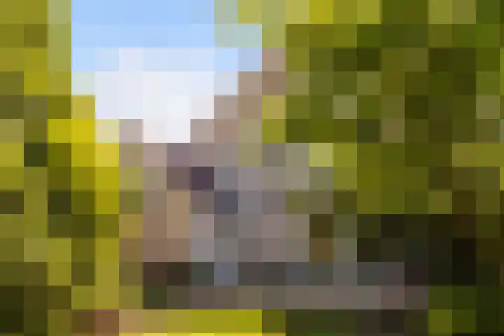 Kersehôf 15 Berltsum thumbnail 40