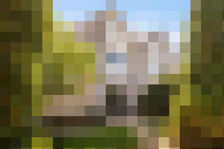 Kersehôf 15 Berltsum thumbnail 41