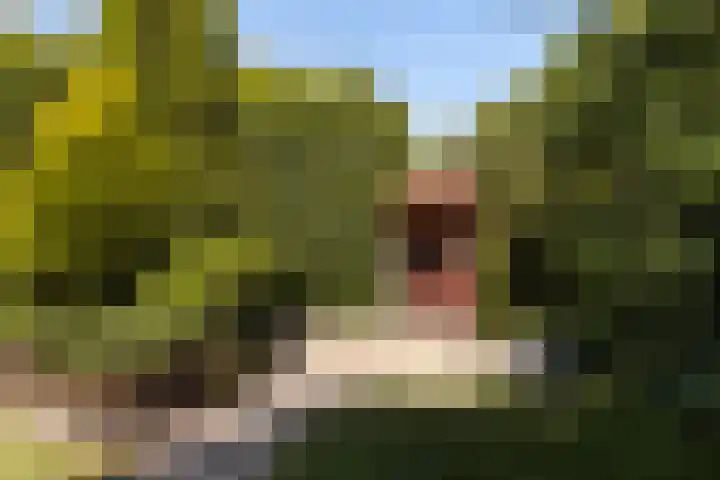Kersehôf 15 Berltsum thumbnail 42