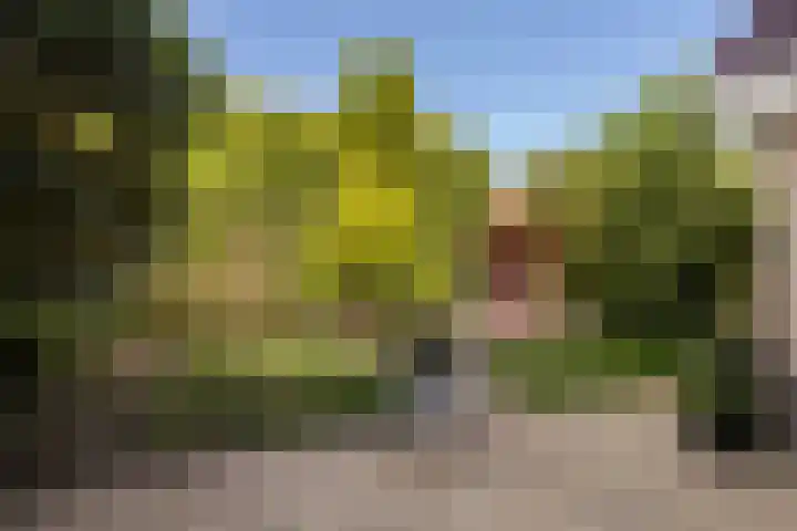 Kersehôf 15 Berltsum thumbnail 43